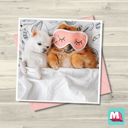 Bed Buddies - Maktus